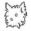Dave_900SS